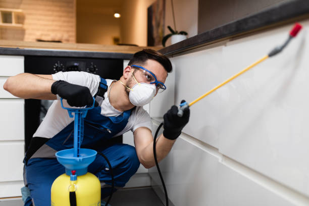 Best Mosquito Control Services  in Stamps, AR