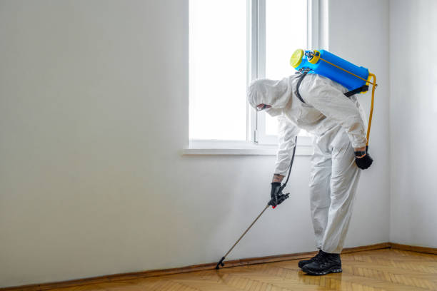Professional Pest Control in Stamps, AR