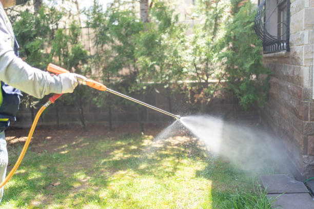 Best Pest Removal Services  in Stamps, AR