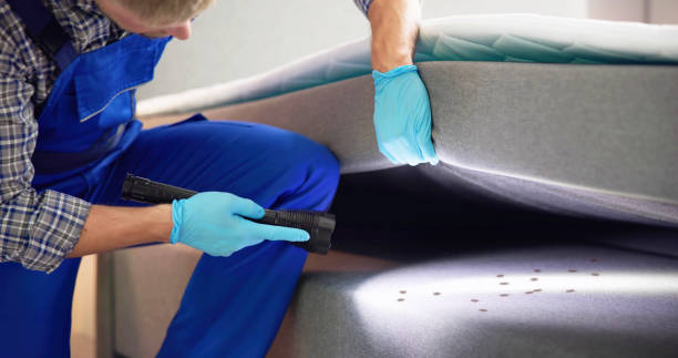 Best Best Pest Control Companies  in Stamps, AR