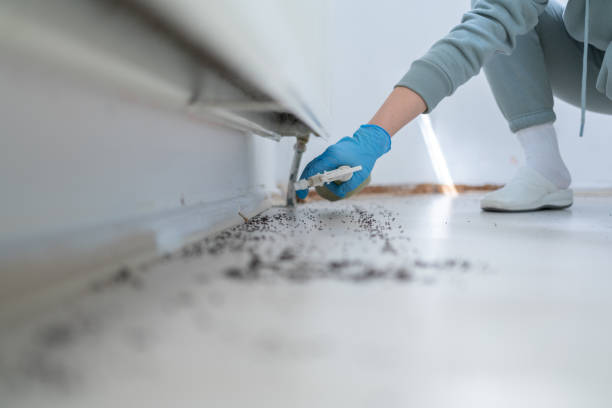 Wildlife Control Services in Stamps, AR